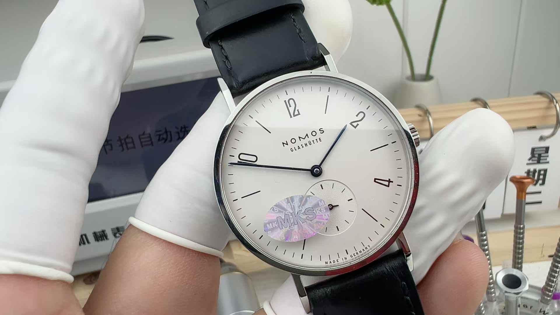 MKS Factory Nomos NOMOS Jane Ya White belt disc