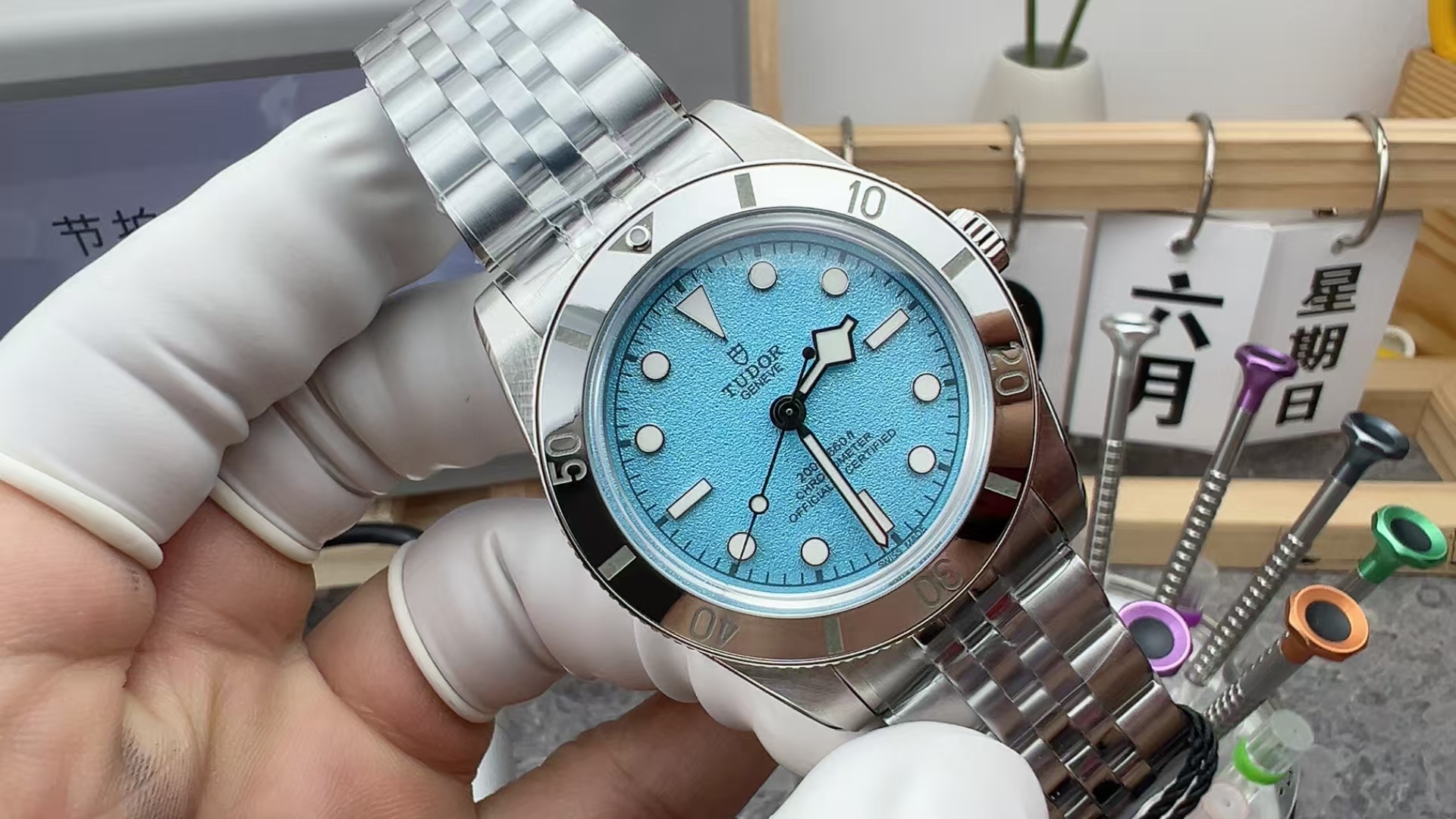 ZF Tudor Steel Belt Blue Plate