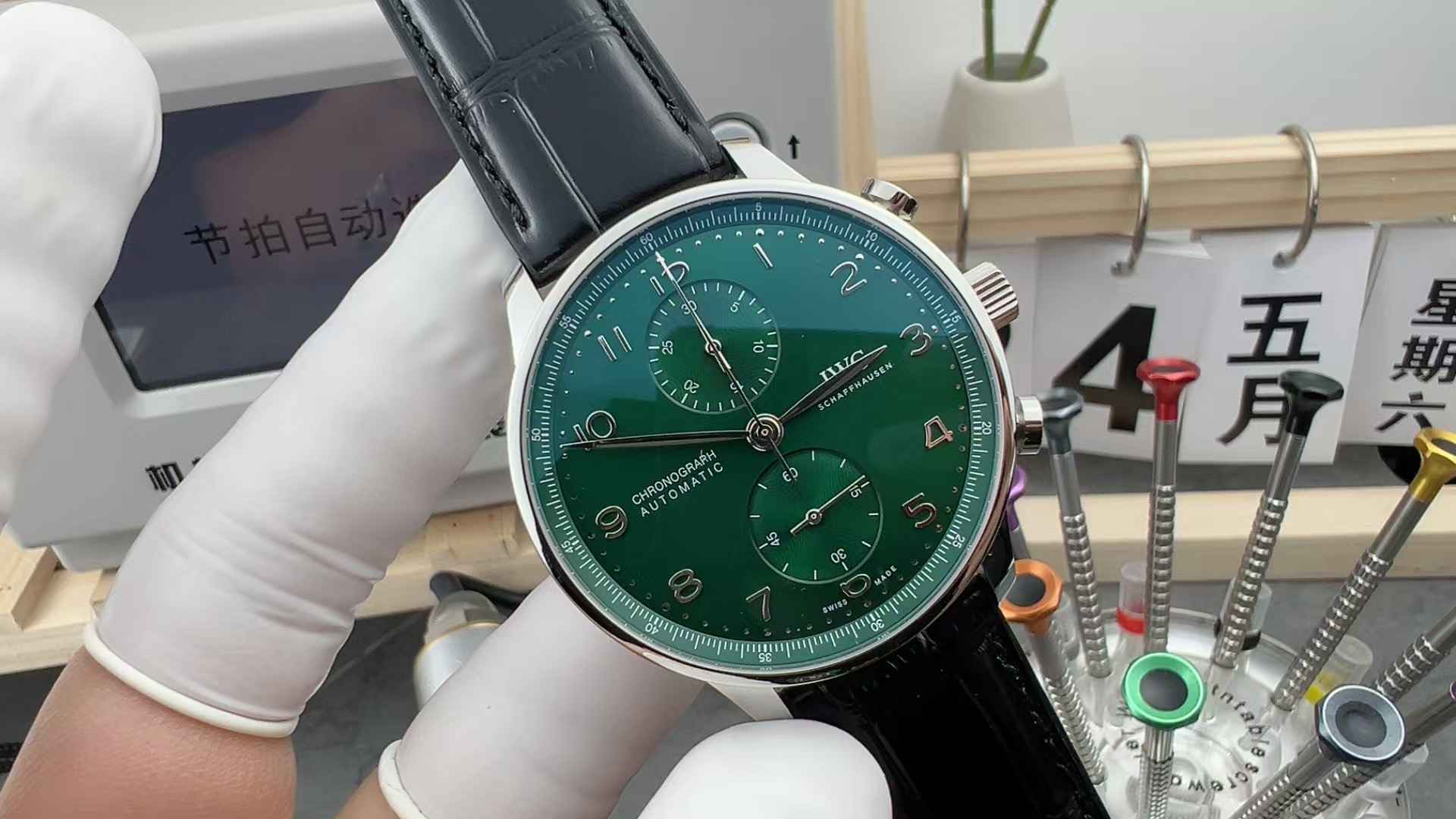 ZF Universal Transparent Green Belt