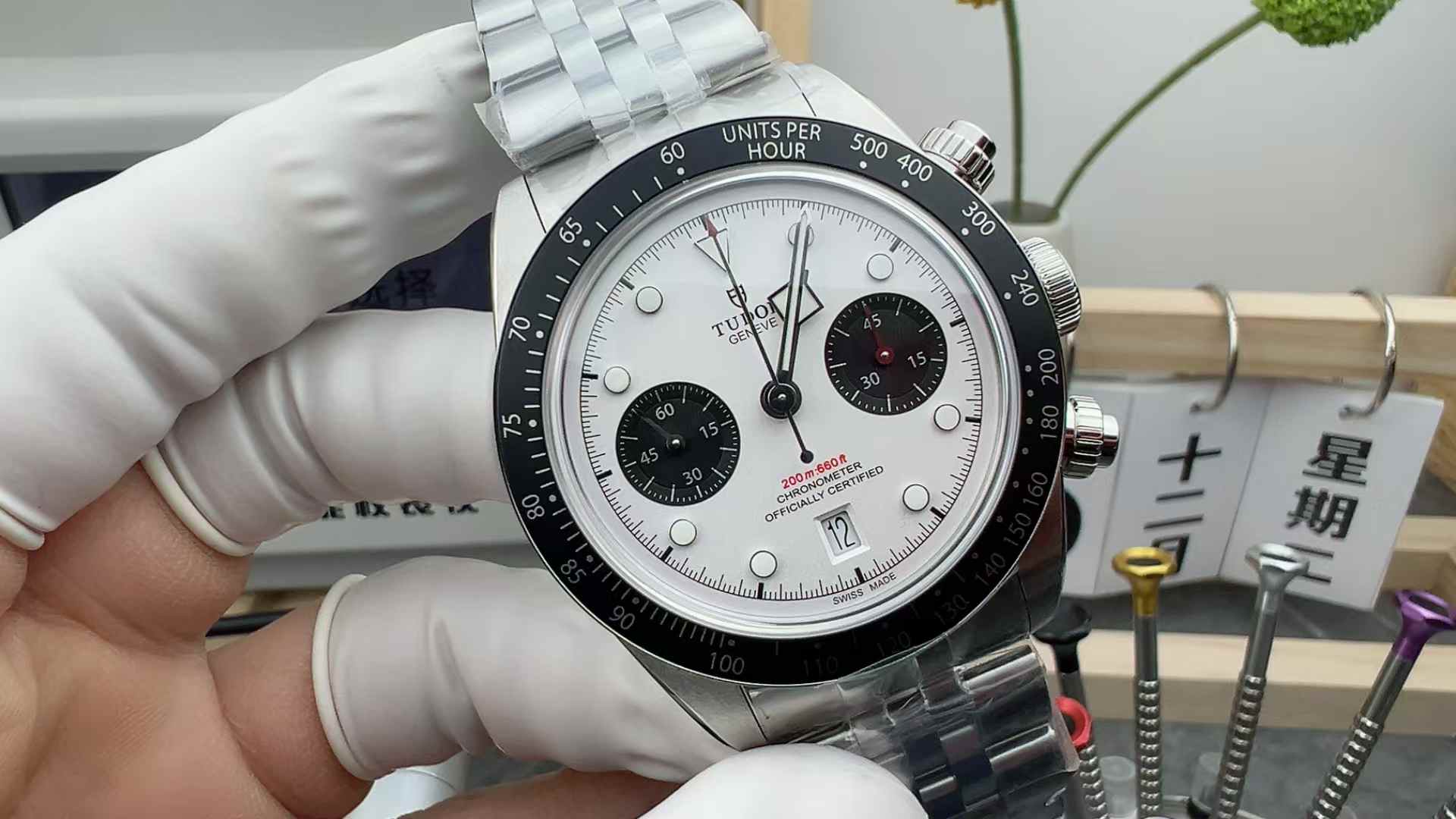 ZF Tudor Biwan Panda Eye Timing Steel Belt White Plate