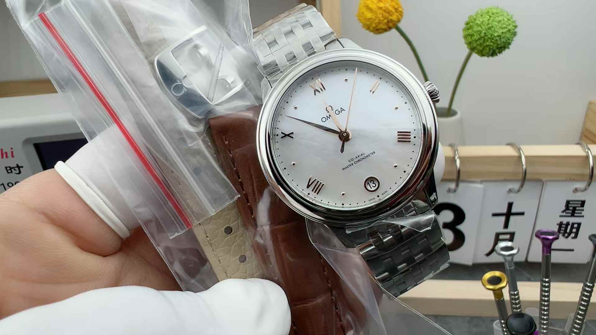 VS Factory Omega Butterfly Flying Fritillaria White Face Women's Steel Belt